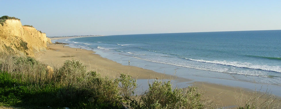 Playas en Conil