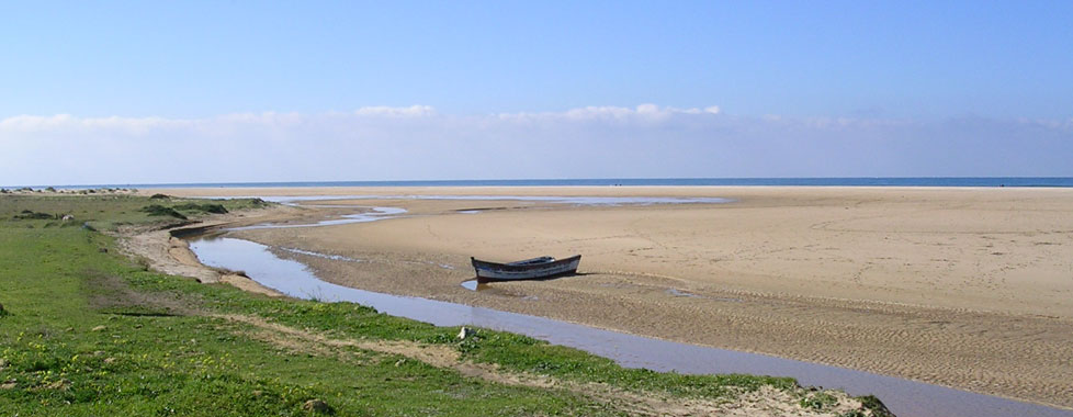 Playas en Conil